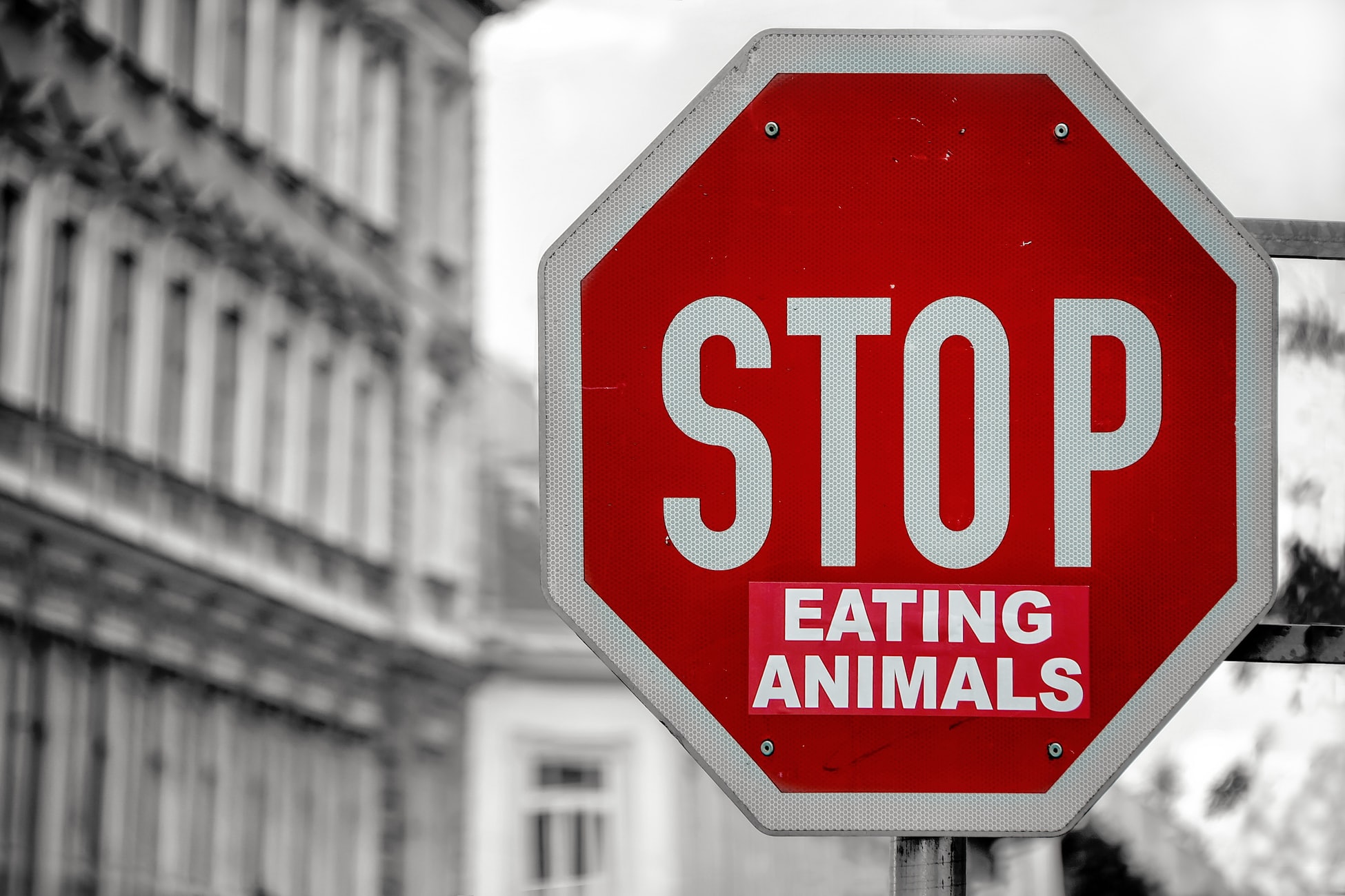 Stop eating animals - Go vegan